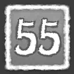 Quest 55