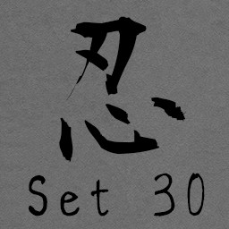 The Ninja Code