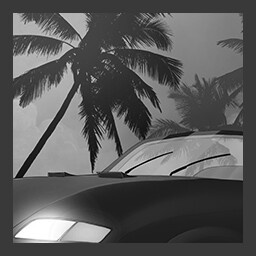 Trip to Miami
