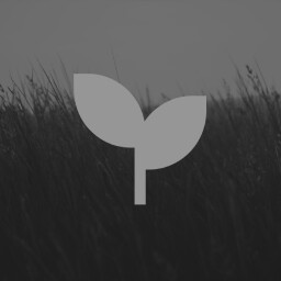 zen