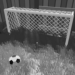 Senior Footballer.