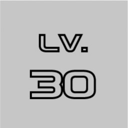Level 30