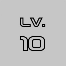 Level 10