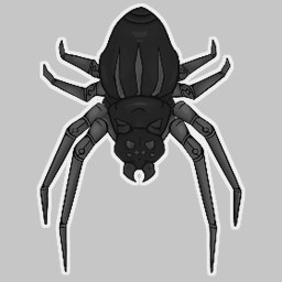 Gunboat Spider