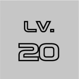 Level 20