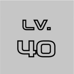 Level 40