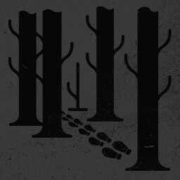 Lost in the Woods