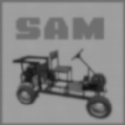 Sam races