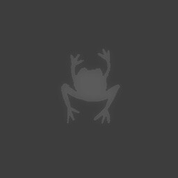 Frog’s Apprentice