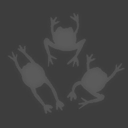 Frog Master