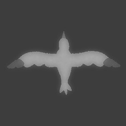 Flight of the Seagull