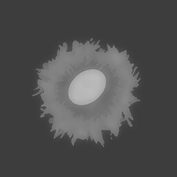 Bird’s Nest