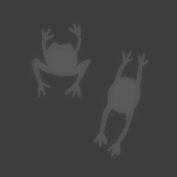 Friend of the Frogs