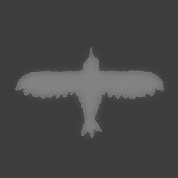 Flight of the Hawk