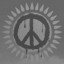 Disarmament