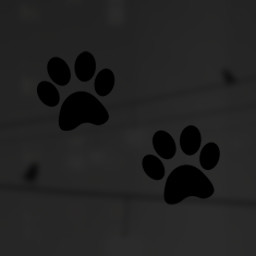 Running Dog