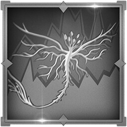 A Memory of Manifestation