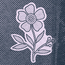 Tape 1: BLOOM