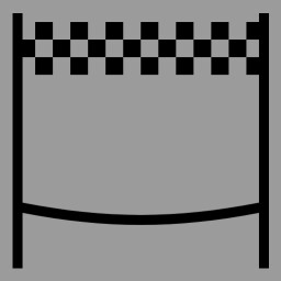 [Domino] Race Champion