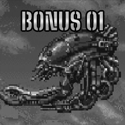 Bonus Stage Perfect 1