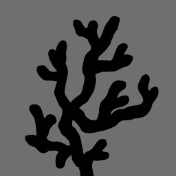 Coral Placer IV