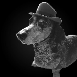 Doggy Diviner