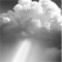 Cleansing Rains