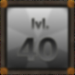 Level 40