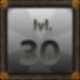 Level 30