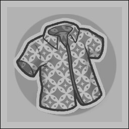The shirt contest