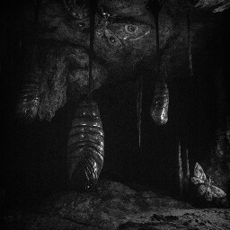 The Caves