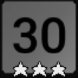 Level 30