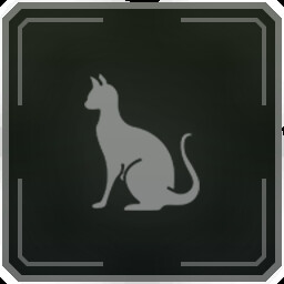 Adventure Cat