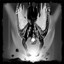Terminal Velocity