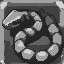 Solid Snake