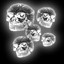 Skull Collector