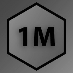 1M