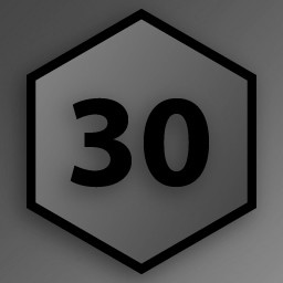 Level 30