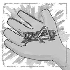 Grasshopper Guru
