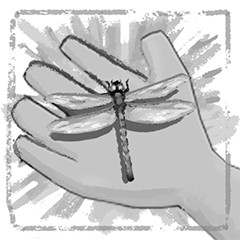 Dragonfly Whiz