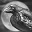 Ornithologist