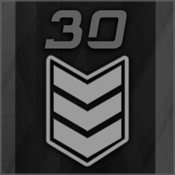 REACH_RANK_30