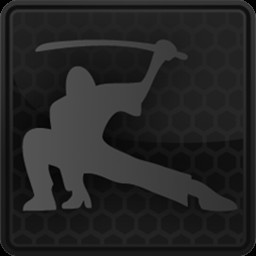 Stealth Assassin