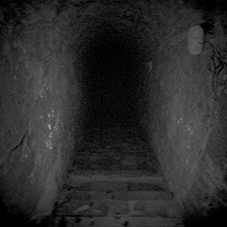 Into the Abyss
