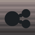 Meiosis II