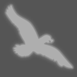 Albatross Around the Neck