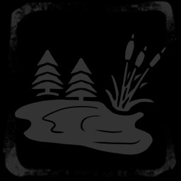 Forest lake
