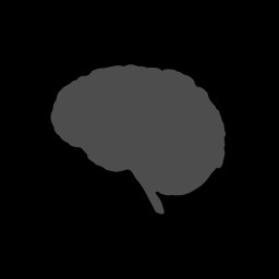 Big Brain