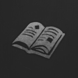 The Codex