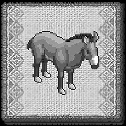 Young Donkey